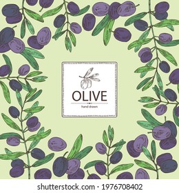Background with olive: olives and olive branch. Vector hand drawn illustration.