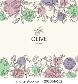 Background with olive: olives and olive branch. Vector hand drawn illustration.