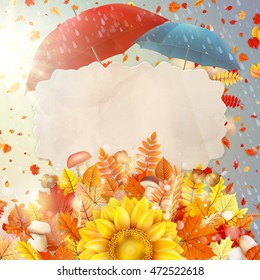 Background on a theme of autumn. EPS 10 vector file included