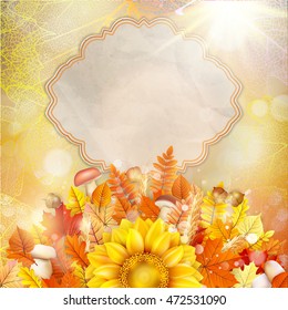 Background on a theme of autumn. EPS 10 vector file included