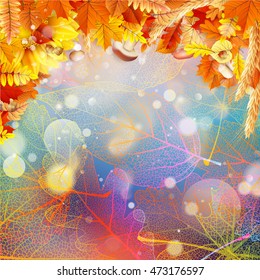 Background on a theme of autumn. EPS 10 vector file included