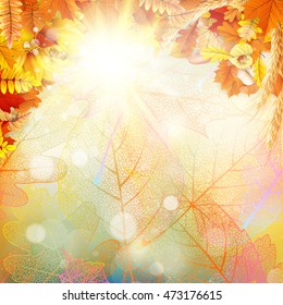 Background on a theme of autumn. EPS 10 vector