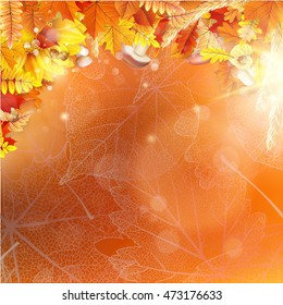 Background on a theme of autumn. EPS 10 vector