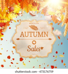 Background on a theme of autumn. EPS 10 vector