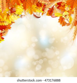Background on a theme of autumn. EPS 10 vector
