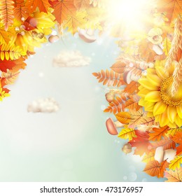Background on a theme of autumn. EPS 10 vector