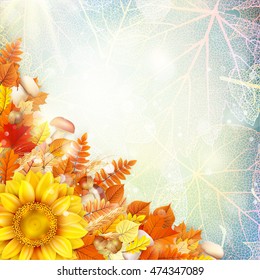 Background on a theme of autumn. EPS 10 vector file included