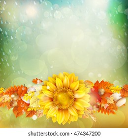 Background on a theme of autumn. EPS 10 vector file included