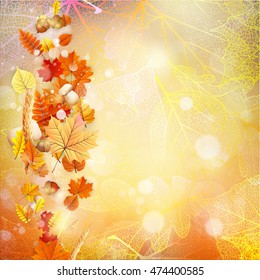 Background on a theme of autumn. EPS 10 vector file included