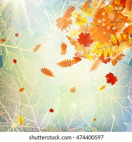 Background on a theme of autumn. EPS 10 vector file included