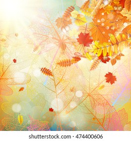 Background on a theme of autumn. EPS 10 vector file included