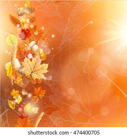 Background on a theme of autumn. EPS 10 vector file included