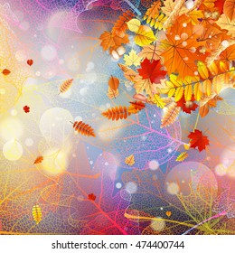 Background on a theme of autumn. EPS 10 vector file included