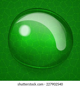 Background with one big water drop on green leaf