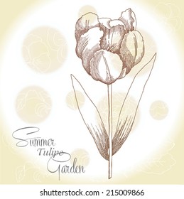 Background  with  one tulipe.Vector illustration