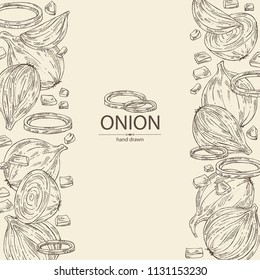 Background with onion: rings, full onion and onion slices. Vector hand drawn illustration.