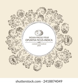 Background with opuntia ficus-indica: indian prickly pear plant, fruits and indian prickly pear flowers. Opuntia ficus-indica. Cosmetic, perfumery and medical plant. Vector hand