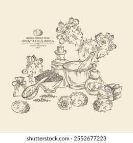 Background with  opuntia ficus-indica: indian prickly pear plant, fruits and indian prickly pear flowers. Opuntia ficus-indica. Oil, soap and bath salt . Cosmetics and medical plant. Vector