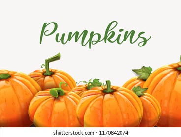 Background of orange autumn pumpkins - Pumpkins of different size on white background. Vector