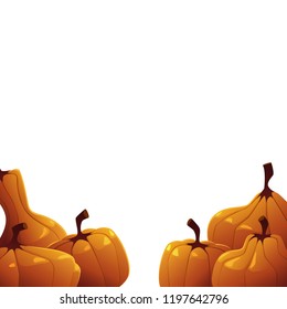 Background of orange autumn pumpkins on white background vector
