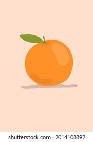 Background orange fruit.Eps 10 vector.