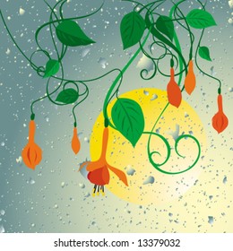 background. orange fuchsia