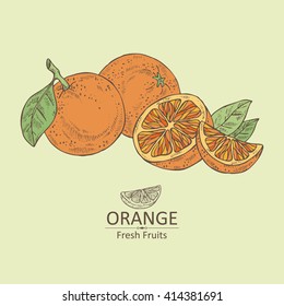 Background with orange . hand drawn