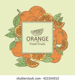 Background with orange . hand drawn
