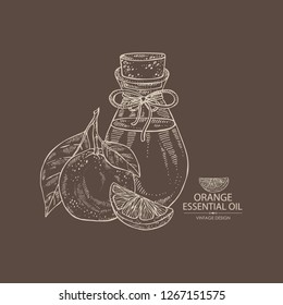Background with orange, orange slice and bottle of essential oil. Cosmetic, perfumery and medical plant. Vector hand drawn illustration