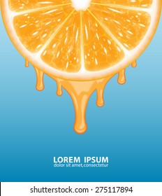 Background with orange slice. High quality vector. EPS10 vector