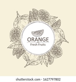 Background with orange and orange slice. Vector hand drawn illustration