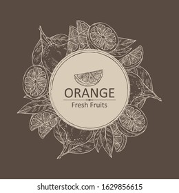 Background with orange and orange slice. Vector hand drawn illustration