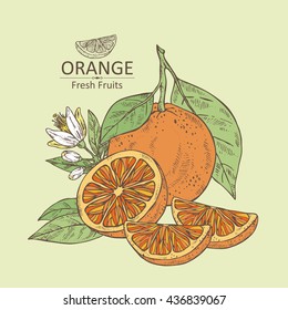 Background with orange slices. hand drawn