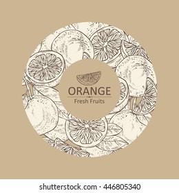 Background with orange slices. hand drawn