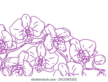 Background with orchid. Beautiful decorative plants.