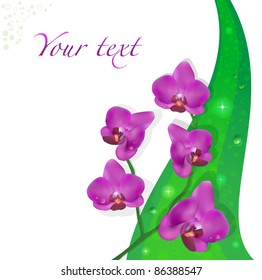 background with orchids