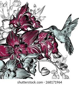 Background with orchids and hummingbird