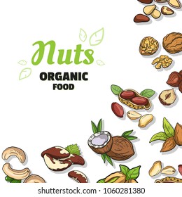 Background with organic food. Different nuts on white. Vector illustration