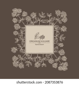 Background with origanum vulgare: origanum vulgare leaves, flowers and plant. Oregano. Herbs and spices. Cosmetic, perfumery and medical plant. Vector hand drawn illustration.