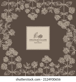 Background with origanum vulgare: origanum vulgare leaves, flowers and plant. Oregano. Herbs and spices. Cosmetic, perfumery and medical plant. Vector hand drawn illustration.