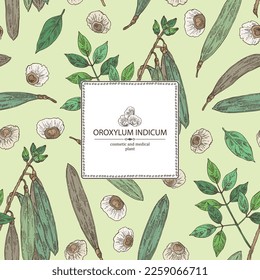 Antecedentes con indicador de oroxílum: planta de oroxílum indicum, hojas, vaina y semillas de oroxílum indicum. Cosmética, perfumería y planta médica. Ilustración dibujada a mano por el vector