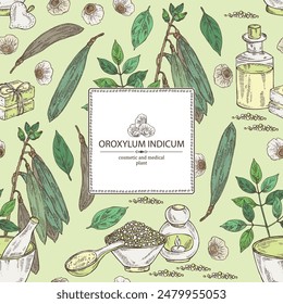 Background with  oroxylum indicum: oroxylum indicum plant, leaves, pod and oroxylum indicum seeds. Oil, soap and bath salt . Cosmetics and medical plant. Vector hand drawn illustration