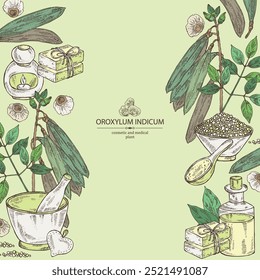 Fundo com oroxylum indicum: planta de oroxylum indicum, folhas, vagem e sementes de oroxylum indicum. Óleo, sabão e sal de banho . Cosméticos e planta médica. Ilustração desenhada à mão vetorial