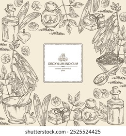 Background with  oroxylum indicum: oroxylum indicum plant, leaves, pod and oroxylum indicum seeds. Oil, soap and bath salt . Cosmetics and medical plant. Vector hand drawn illustration