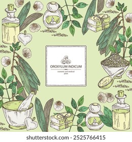 Background with  oroxylum indicum: oroxylum indicum plant, leaves, pod and oroxylum indicum seeds. Oil, soap and bath salt . Cosmetics and medical plant. Vector hand drawn illustration