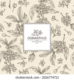 Background with osmanthus: plant, leaves and osmanthus flowers. Cosmetic, perfumery and medical plant. Vector hand drawn illustration