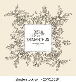 Background with osmanthus: plant, leaves and osmanthus flowers. Cosmetic, perfumery and medical plant. Vector hand drawn illustration