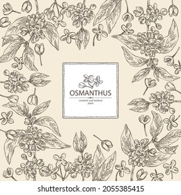 Background with osmanthus: plant, leaves and osmanthus flowers. Cosmetic, perfumery and medical plant. Vector hand drawn illustration