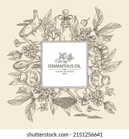Background with osmanthus: osmanthus plant, leaves, osmanthus flowers, bath salt, soap and beauty products. Cosmetic, perfumery and medical plant. Vector hand drawn illust