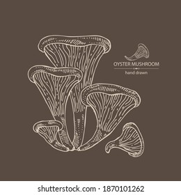 Background with oyster mushroom: mushroom pleurotus. Mushroom. Vector hand drawn illustration